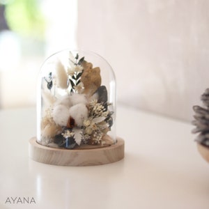 Deco Glass bell MISSISSIPPI ROAD TRIP cotton flower arrangement dried and preserved flowers, unique gift cotton wedding anniversary image 4