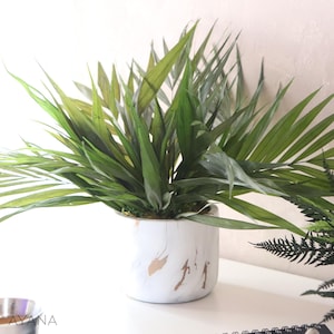 Peut inclure: Une plante verte en pot avec de longues feuilles fines dans un pot en marbre blanc avec des accents dorés. La plante est posée sur une surface blanche.
