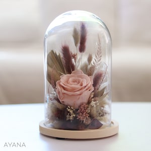 Glass bell VENDEMIAIRE preserved and dried flower dusty pink and burgundy, eternal rose under bell eco-responsible gift trendy boho deco