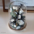 Bell dried and preserved flowers UNIVERSAL HARMONY , original gift eco-friendly home Eternal white roses  under glass bell