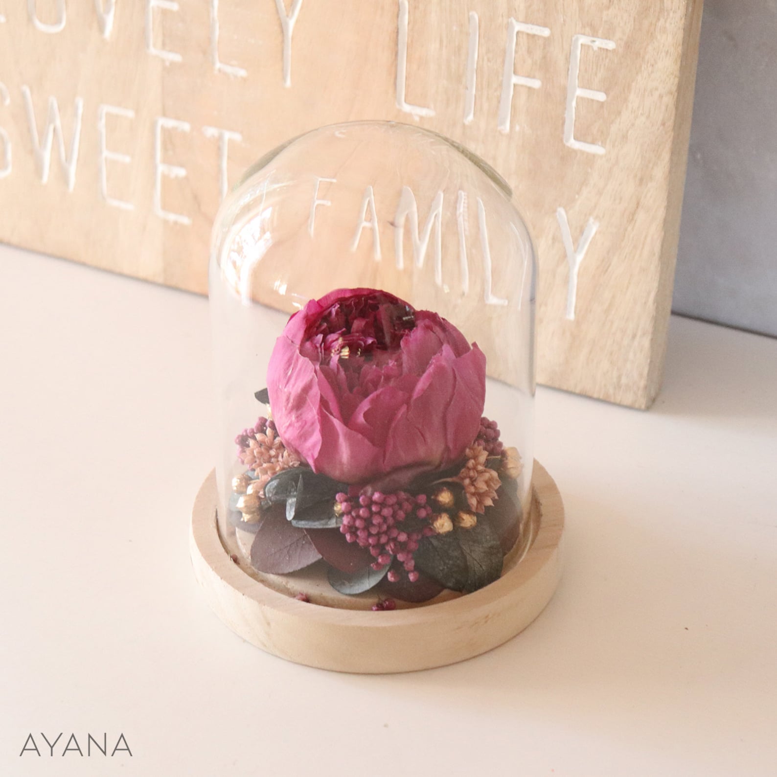 Eternal Peony Under Glass Bell JARDIN BAROQUE Eco-responsible Gift ...
