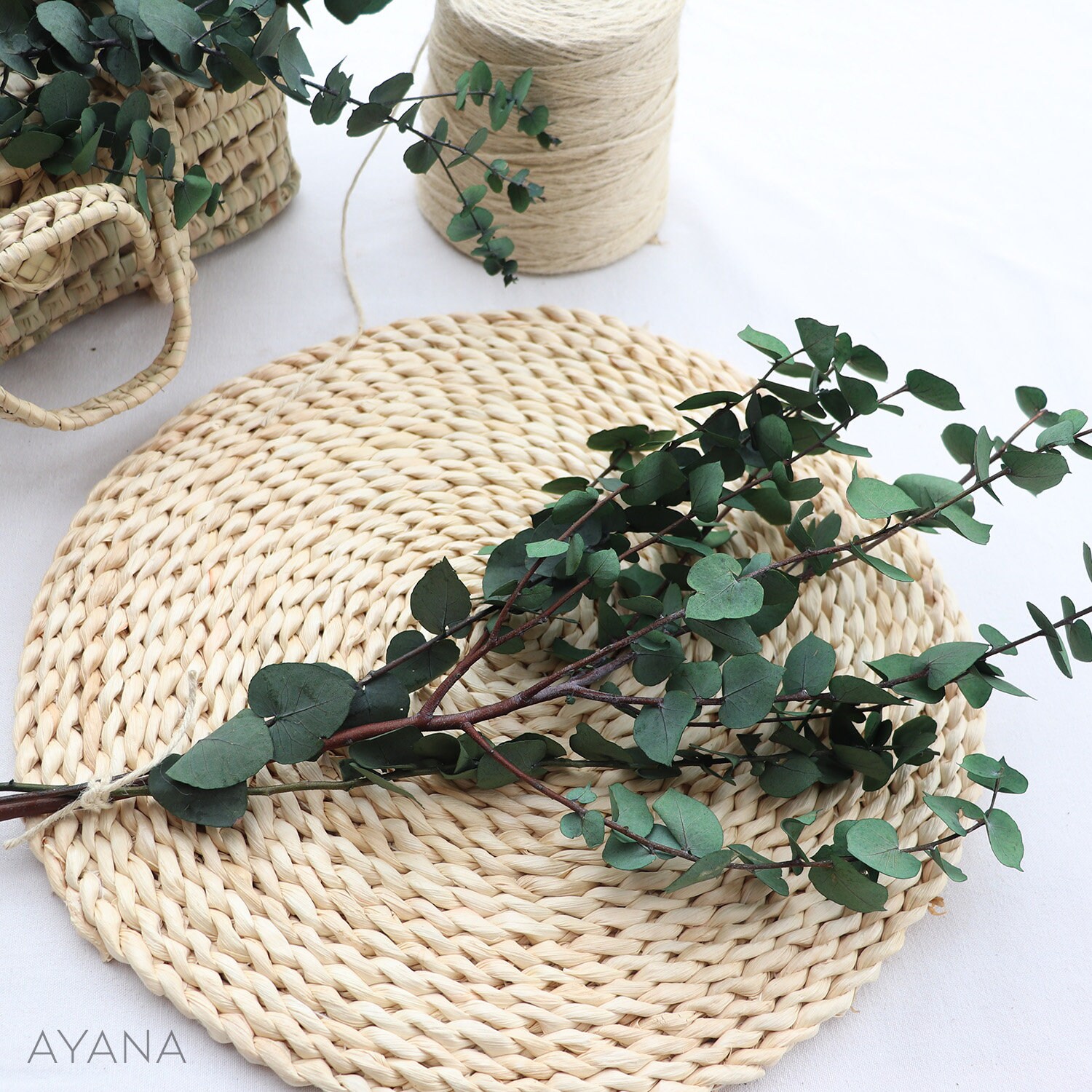 Botte Eucalyptus Stuartiana Stabilisé, Branches Feuillage Stabilisé Naturel Vert Clair