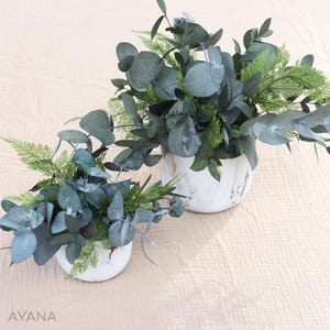 Peut inclure: Deux pots en céramique blanche avec des plantes d'eucalyptus et de fougères vertes. Les pots ont un design marbré.