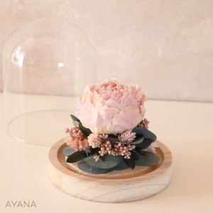 Pale pink eternal peony under glass bell JARDIN D'EDEN, dried flower arrangement original eco-responsible gift home decoration image 4