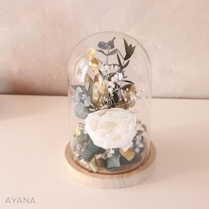 JARDIN IMPERIAL  Preserved natural white peony under glass bell an eco-responsible decoration gift Dried flower composition