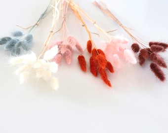 Bunch of natural dried Lagurus in pastel pink, white, old pink, sage, terracotta, brown, dried flower bouquet for country decor
