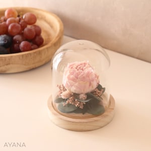 Pale pink eternal peony under glass bell JARDIN D'EDEN, dried flower arrangement original eco-responsible gift home decoration image 3