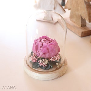 Eternal peony under glass dome SECRET GARDEN  Eco responsible gift, violet dried violet arrangement tendy gift home decoration