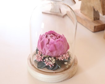 Pivoine éternelle sous cloche en verre JARDIN SECRET cadeau éco responsable, arrangement fleur séchée cadeau décoration d'intérieur tendance