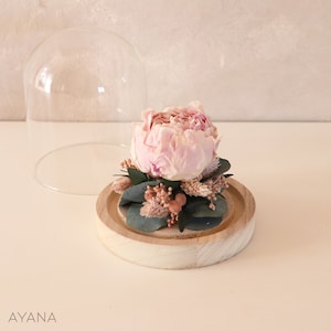 Pale pink eternal peony under glass bell JARDIN D'EDEN, dried flower arrangement original eco-responsible gift home decoration image 5