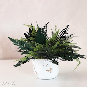 Peut inclure: Un pot en céramique blanche avec un motif marbré et des accents dorés, rempli d'un arrangement luxuriant de fougères vertes.