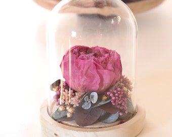Eternal peony under glass bell JARDIN BAROQUE eco-responsible gift, dried flower arrangement for trendy home decor Boho wedding center table