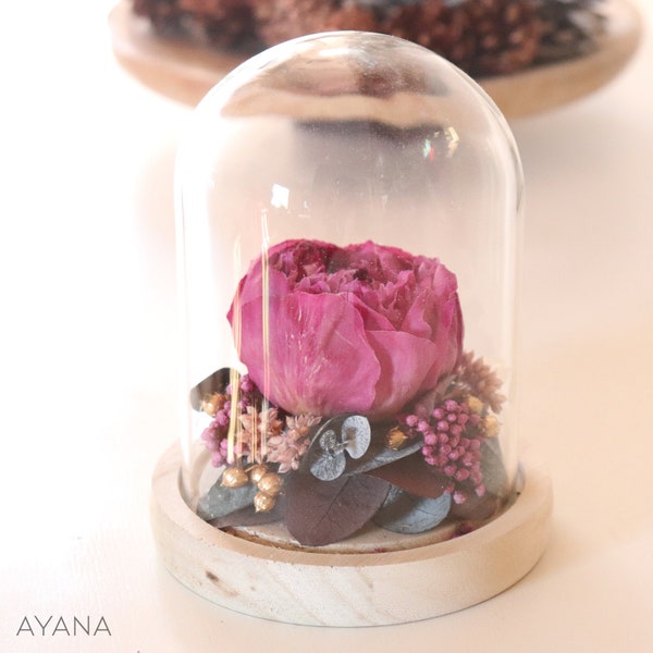 Pivoine éternelle sous cloche en verre JARDIN BAROQUE cadeau éco responsable, arrangement fleur schée cadeau décoration d'intérieur tendance