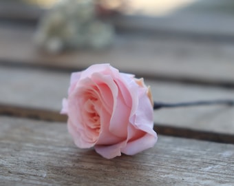 Mini selección de rosas preservadas, flor natural para peinado de novia, accesorio para el cabello de boda, barrette para el cabello de dama de honor