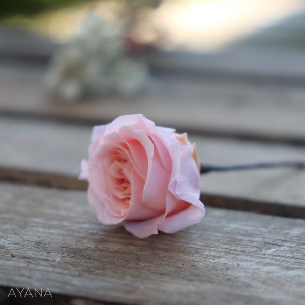 Pic Mini rose stabilisée, fleur naturelle pour coiffure de mariée, accessoire à cheveux mariage, barette à cheveux demoiselle d'honneur