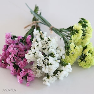 Peut inclure: Trois bouquets de fleurs de statice séchées en rose, blanc et vert clair.