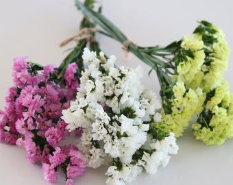 Bunch of preserved natural statice, white, yellow or pink, Natural Flowers for Decoration & Floral Creations