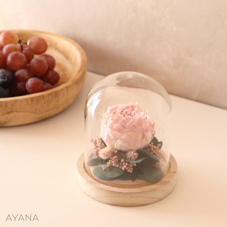 Pale pink eternal peony under glass bell JARDIN D'EDEN, dried flower arrangement original eco-responsible gift home decoration image 2