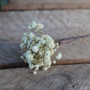 Stabilized gypsophila on peak, bridal wedding accessory, flowered hair clip with bohemian spirit, natural preserved flowers