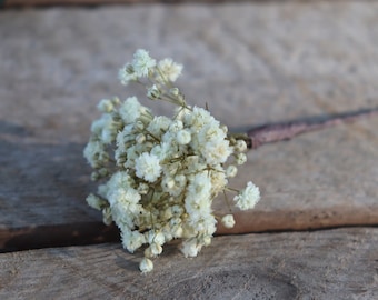 Stabilized gypsophila on peak, bridal wedding accessory, flowered hair clip with bohemian spirit, natural preserved flowers