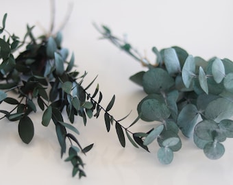 Botte d'eucalyptus naturel stabilisé, eucalyptus cinéréa ou parvifolia, Feuillage Naturel pour Déco & Créations Florales