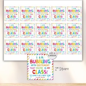 May include: A sheet of colourful, square stickers with the text "I am bubbling with excitement that you're in my class!" in a playful font. The stickers are 5.08 cm square and feature a rainbow border.