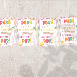 May include: Four colorful signs with the text "PUSH yourself TO DO YOUR BEST! MAKE THAT ROUTINE POP!" with a cheerleader silhouette and the text "From Danisha" at the bottom.