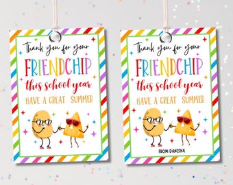 Friend Chip Bag Tags Last Day of School Tag Classroom Treat Tag End of School Year Teacher Gift Tag Summer Editable Printable Download