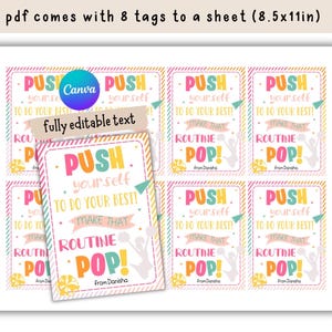 May include: Eight printable cheerleading tags with a pink, yellow, and blue color scheme. The tags feature the text "Push yourself to do your best! Make that routine pop!" with a silhouette of a cheerleader. The text "From Danisha" is also included on each tag.
