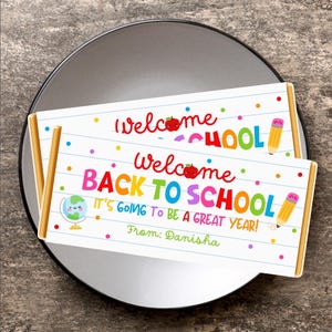 May include: Two rectangular signs with the text "Welcome Back to School" in colorful letters. The signs have a lined paper design with colorful dots, a globe, and a pencil illustration. The text "It's going to be a great year!" and "From: Danisha" are also included.
