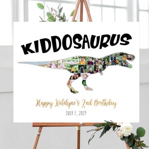 Dinosaur Photo Collage, Dinosaur Pictures Collage Gifts, Dinosaur Photo Wall Art, Birthday Photo Gift for Kids, Photo Poster, DIGITAL FILES!