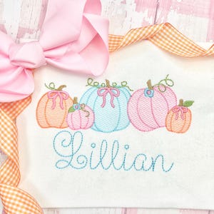 Pu&ograve; includere: Disegno ricamato di cinque zucche di vari colori, tra cui arancione, rosa e blu, con un gambo e foglie verdi. Le zucche sono disposte in fila con il nome "Lillian" ricamato sotto.