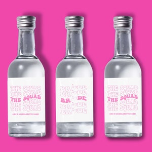 Set of 12 Bottle Labels | Bachelorette Party Favors | Mini Shot Labels | Custom Liquor Labels | Bachelorette Gift Idea | Alcohol Stickers