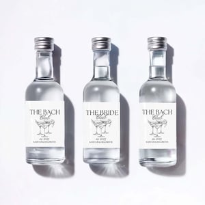 Set of 12 Bottle Labels | Bachelorette Party Favors | Mini Shot Labels | Custom Liquor Labels | Bachelorette Gift Idea | Alcohol Stickers