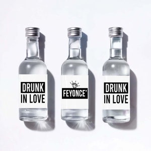 Set of 12 Bottle Labels | Bachelorette Party Favors | Mini Shot Labels | Custom Liquor Labels | Bachelorette Gift Idea | Alcohol Stickers
