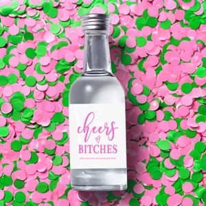 Set of 12 Bottle Labels | Bachelorette Party Favors | Mini Shot Labels | Custom Liquor Labels | Bachelorette Gift Idea | Alcohol Stickers