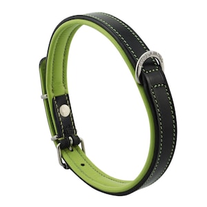Apple Green Leather Padded Dog Collar For Medium Size Dogs Slim Light Weight Design...ON SALE NOW!