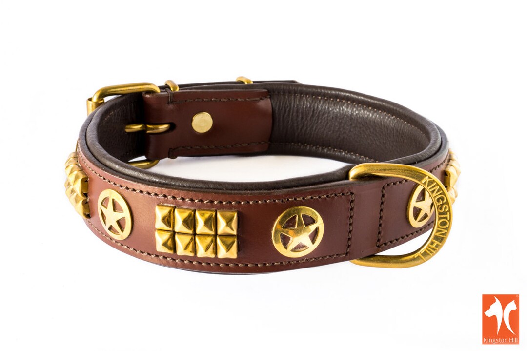 Brown Gold Leather Dog Collar 
