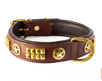 Kingston hill dog collars Clearance