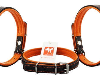 Black Orange Leather Padded Dog Collar for Medium Size Dogs Slim