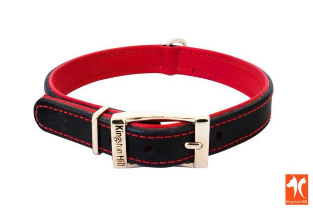 Black & Red Leather Dog Collar With Soft Internal Padding Etsy