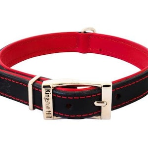 May include: Black leather dog collar with red stitching and a gold buckle. The buckle has the text "Kingston Hill" engraved on it.