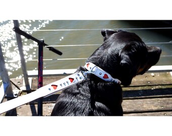 White Leather Dog Collar with Red love hearts