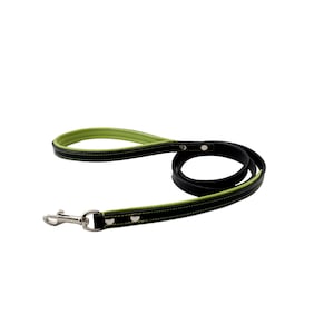 Leather Dog Leash Black & Green Apple Heavy Duty