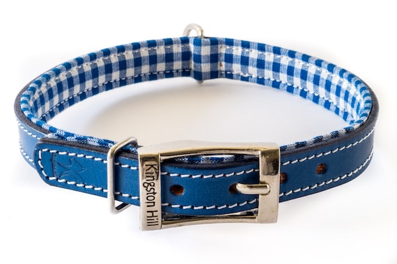 Blue White Checked Leather Dog SALE NOW!
