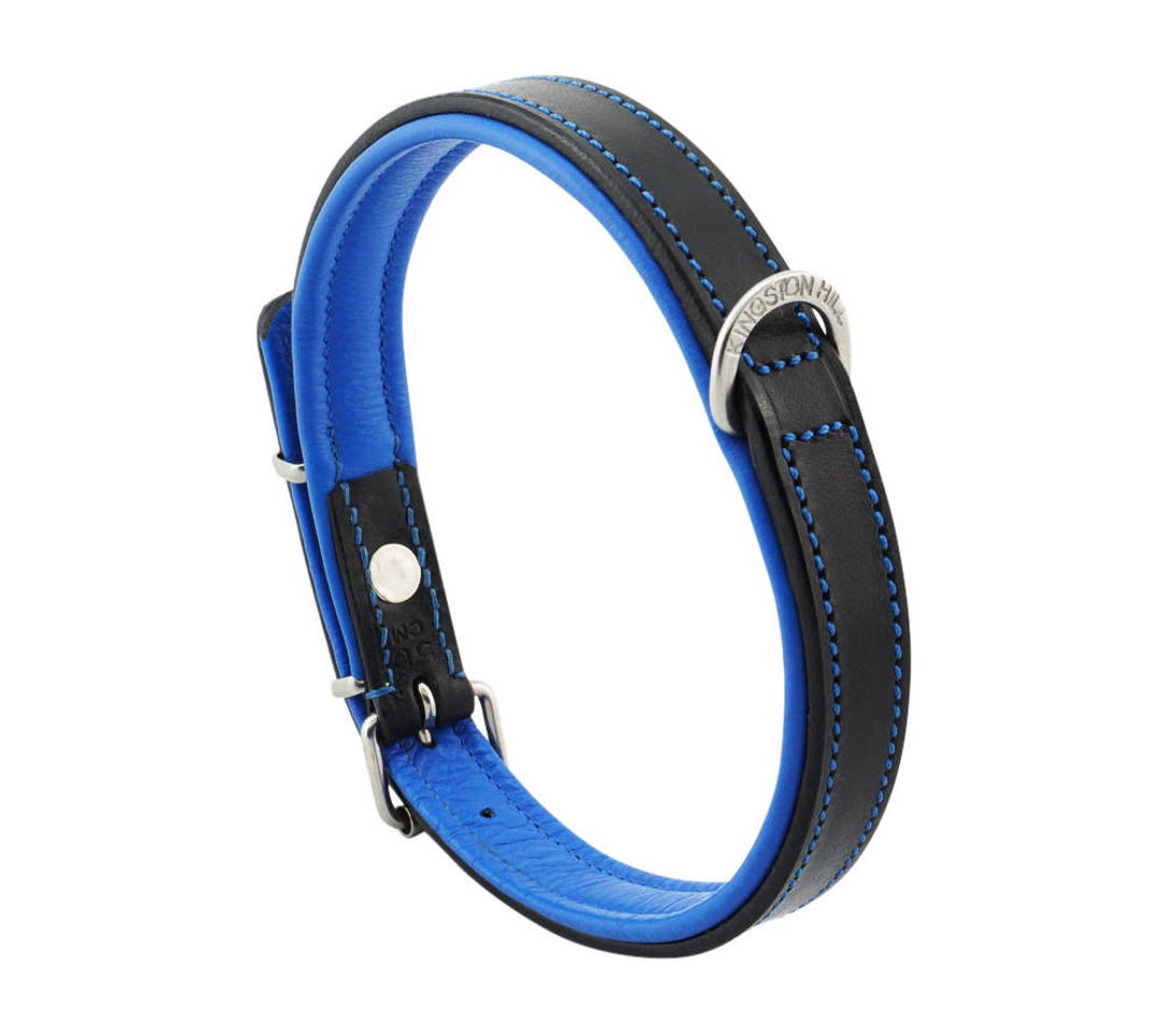 Black Blue Leather Padded Dog Collar for Medium Size Dogs