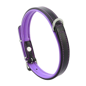Black & Purple Leather Padded Dog Collar For Medium Size Dogs Slim Light Weight Design...Clearance Sale On Now!