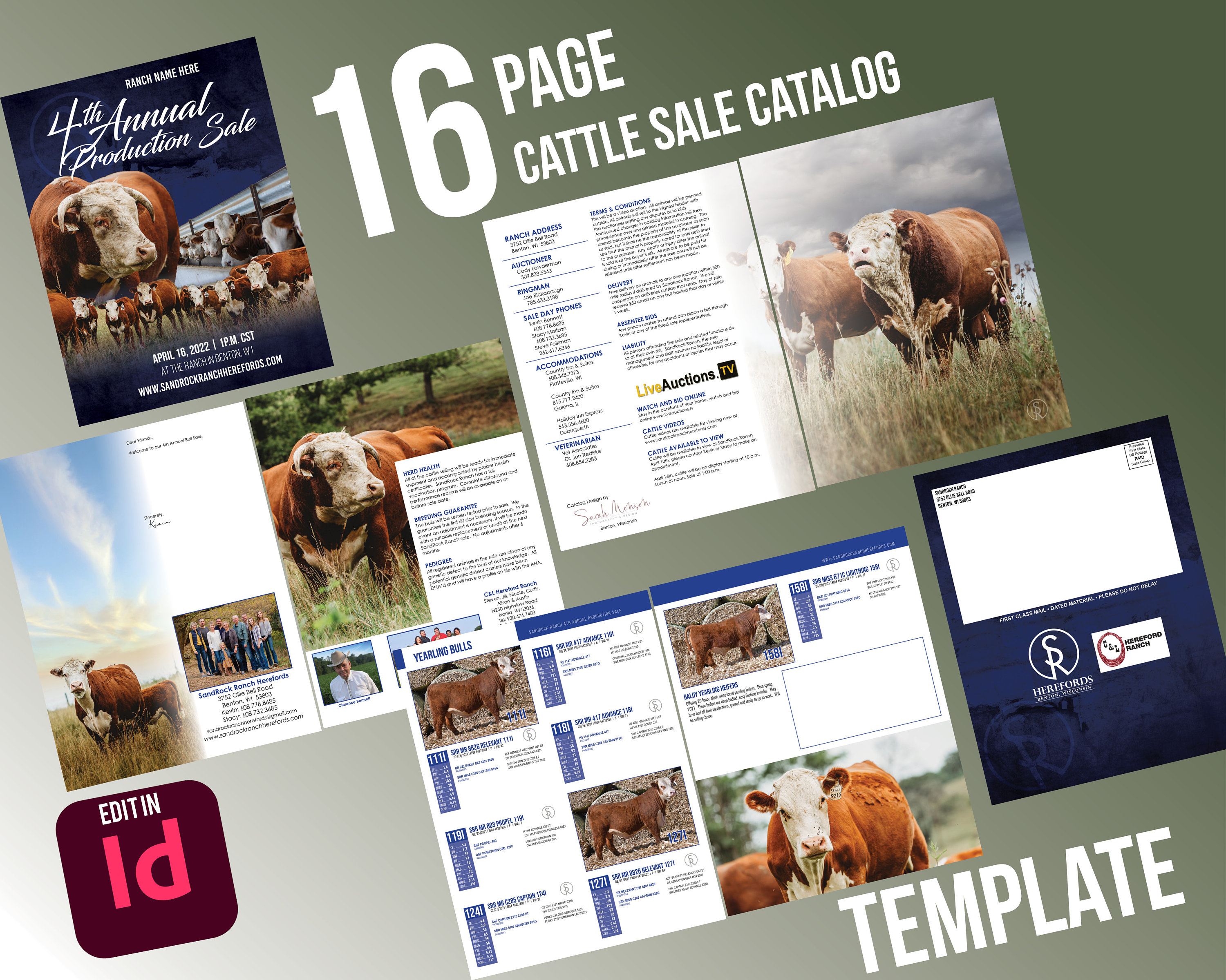 Bull Sale Catalog • Female Sale Catalog • Dispersal Sale Catalog