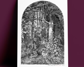 Botanical Forest Art Print - Jacobus Cornet Dutch Etching, Archival Museum Quality