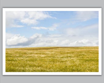 May include: A landscape photograph featuring a field of golden wheat under a bright blue sky dotted with fluffy white clouds. The wheat field stretches across the frame, creating a sense of depth and tranquility.